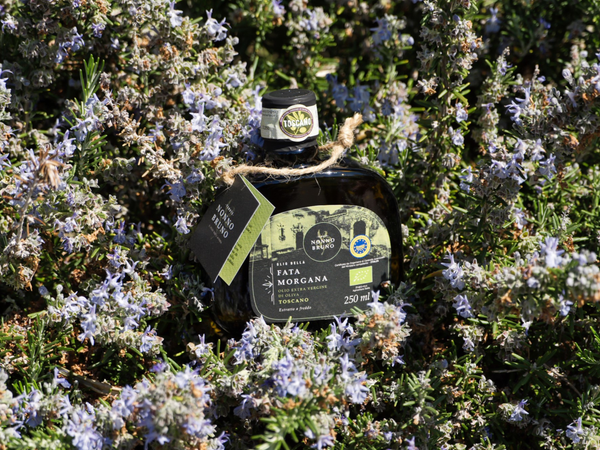 Olio della Fata Morgana - Raccolta 2025 - Olio Extra Vergine Toscano Biologico IGP